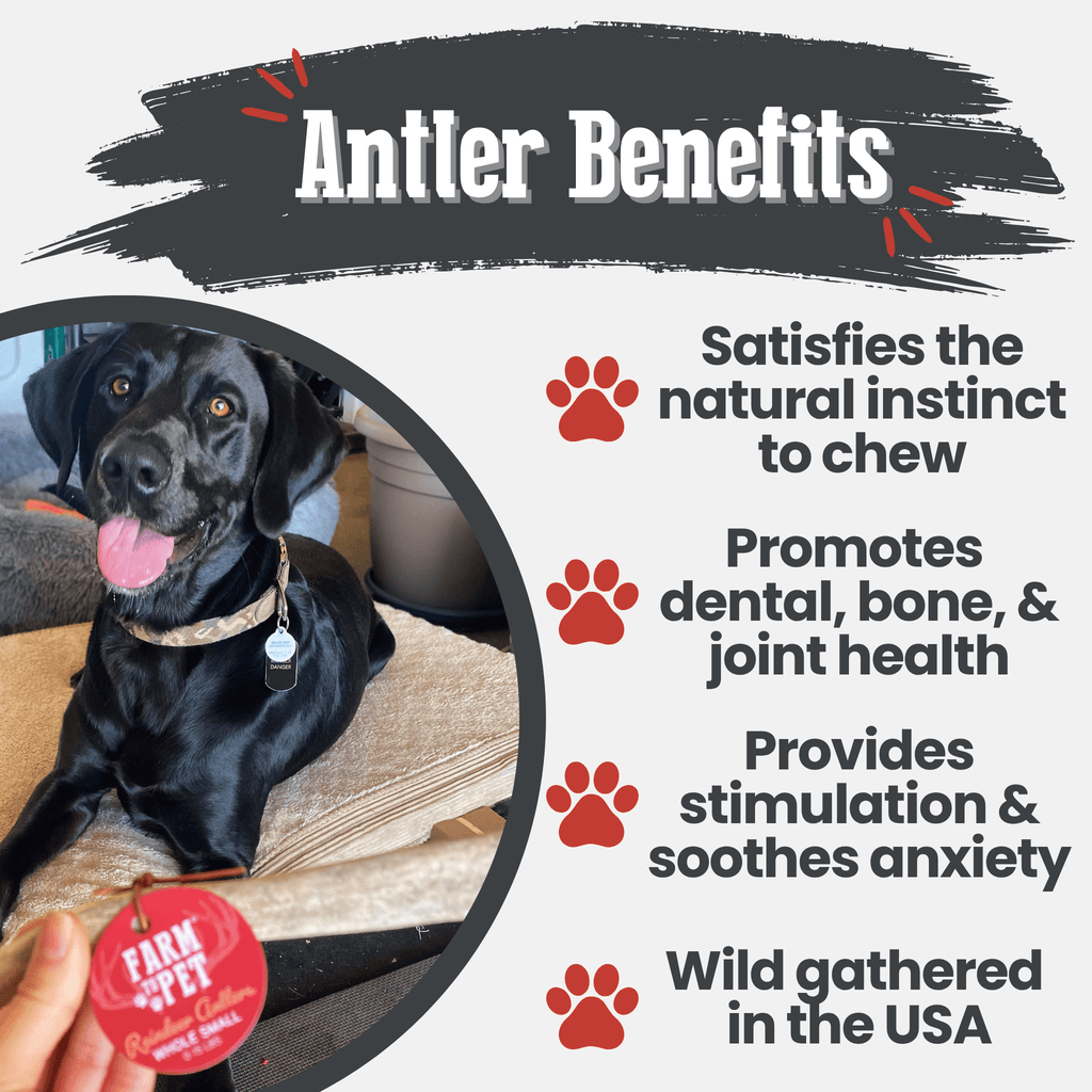 Organic Reindeer Antler Chews for Dogs | Wild-Gathered Alaska | Whole & Split | S, M, L