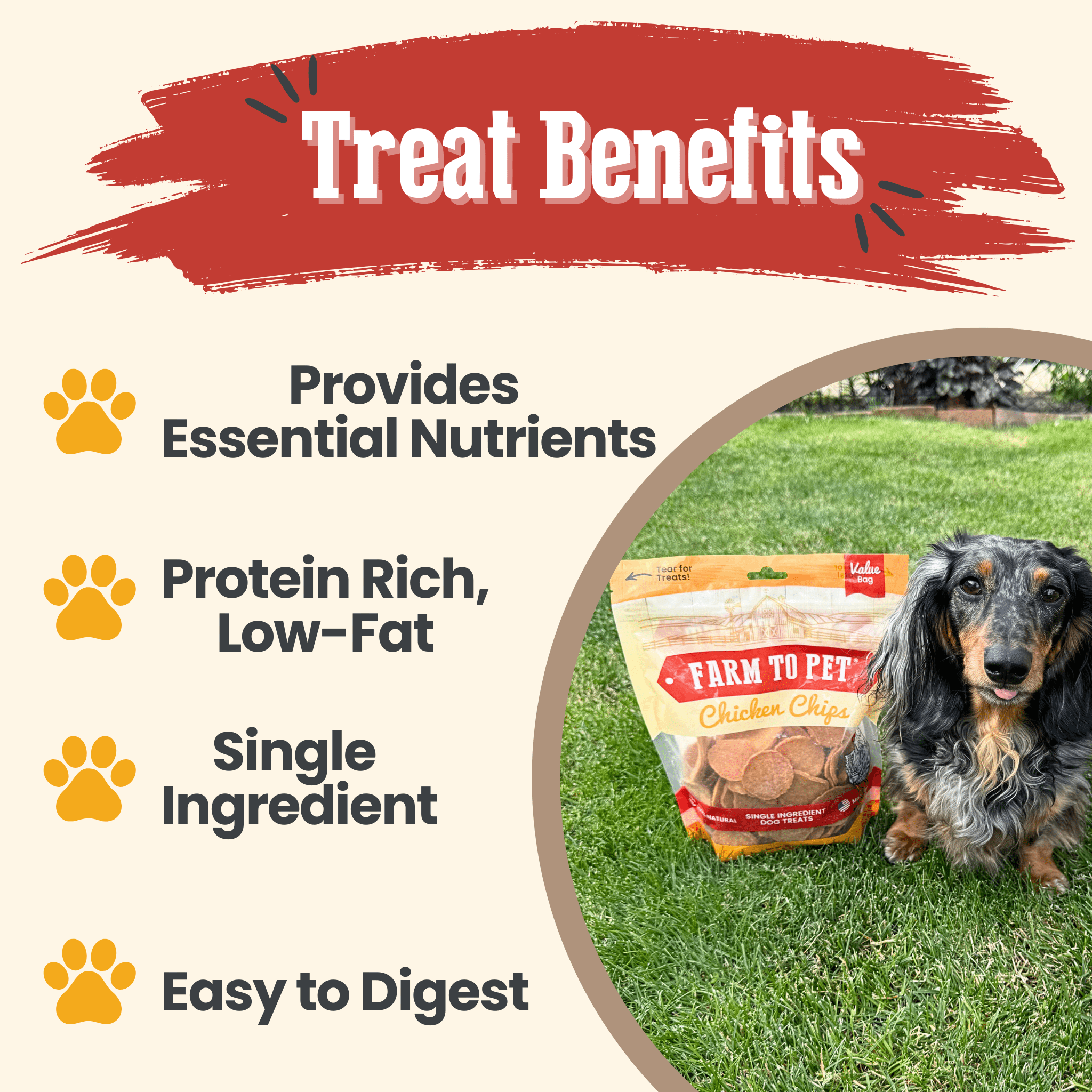 Farm to Pet Chicken Chips Dog Treats | Single Ingredient | Human-Grade | Made in USA