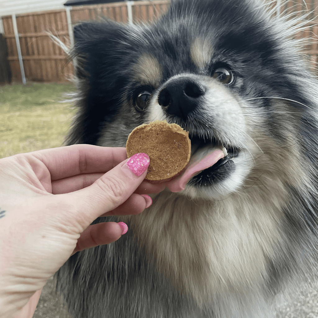 Farm to Pet Fish Chips | Wild-Caught Lake Erie Walleye | Single Ingredient Dog & Cat Treat