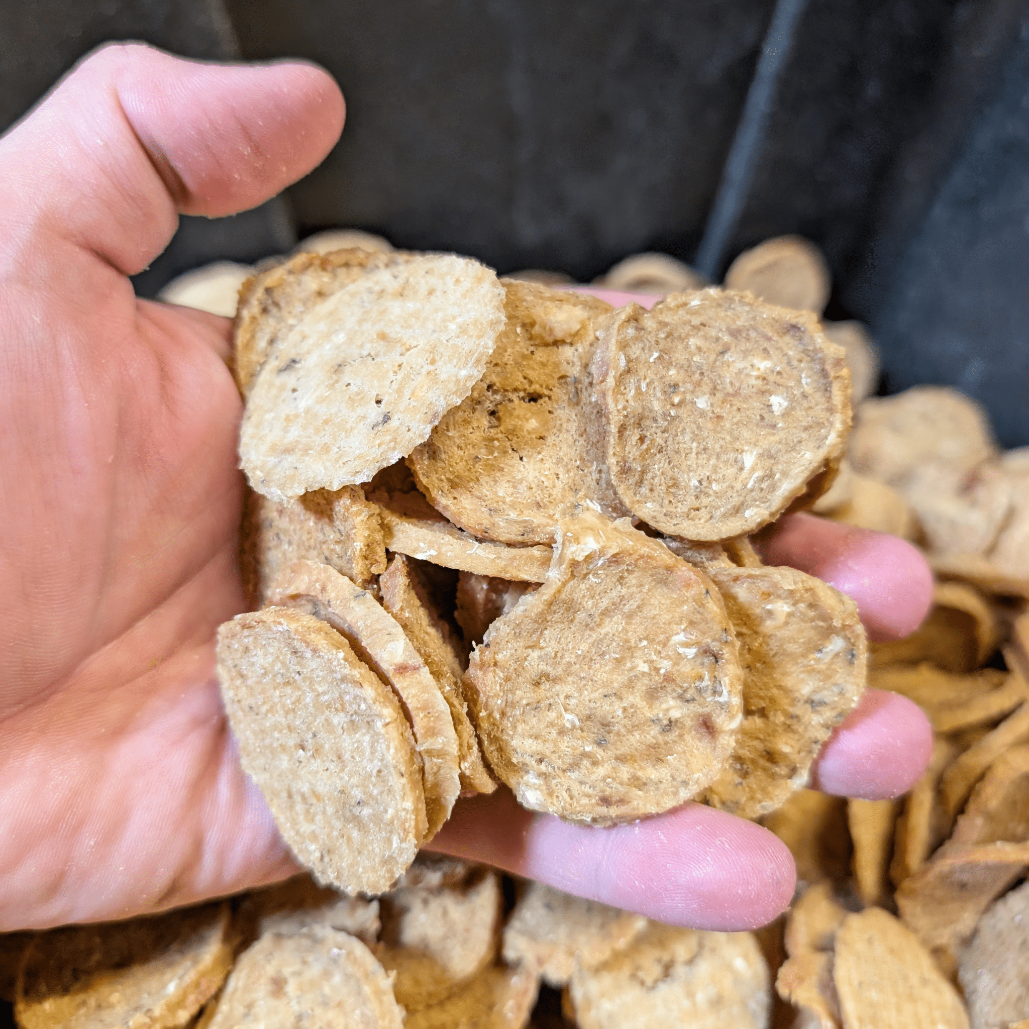 Farm to Pet Fish Chips | Wild-Caught Lake Erie Walleye | Single Ingredient Dog & Cat Treat