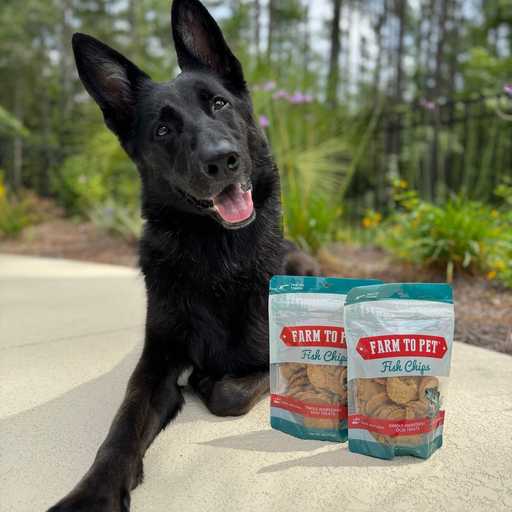 Farm to Pet Fish Chips | Wild-Caught Lake Erie Walleye | Single Ingredient Dog & Cat Treat