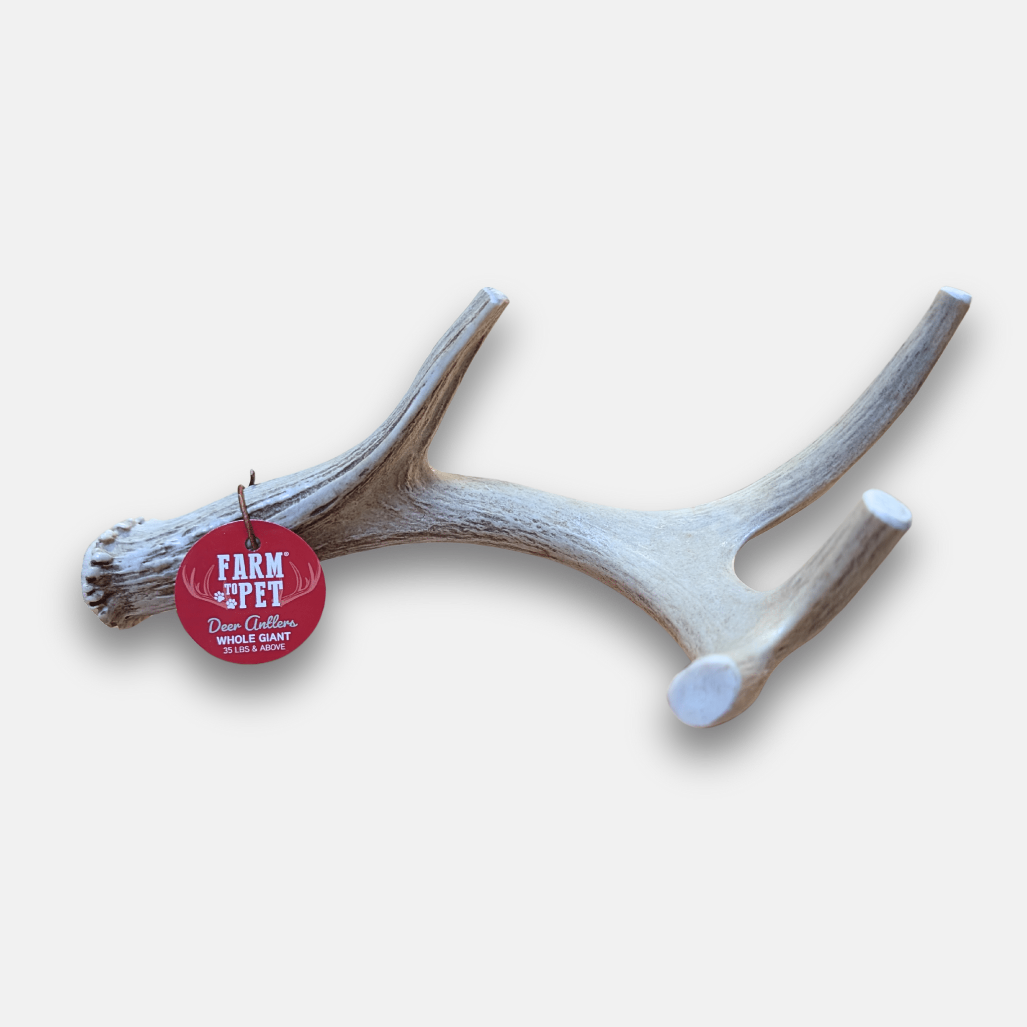 Organic Whole Deer Antler Chews for Large Dogs | Wild-Gathered USA | L & XL Sizes