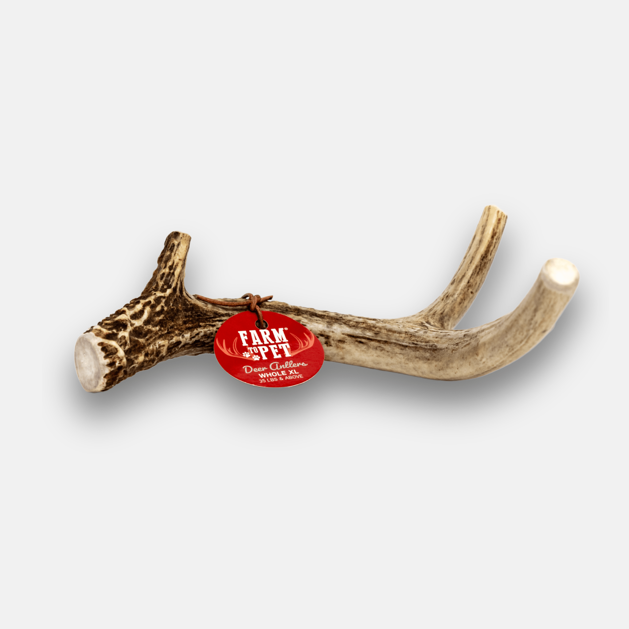 Organic Whole Deer Antler Chews for Large Dogs | Wild-Gathered USA | L & XL Sizes