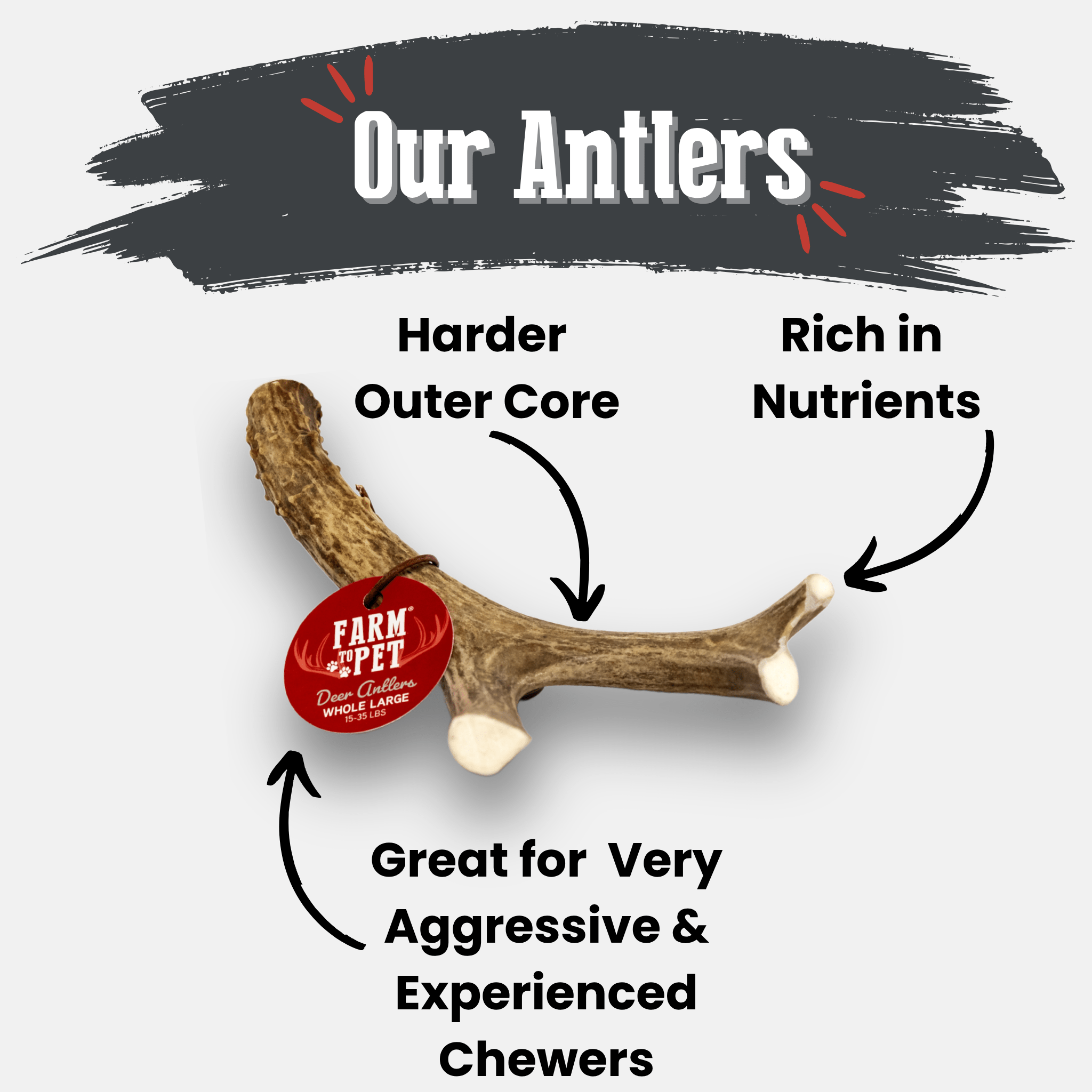 Organic Whole Deer Antler Chews for Large Dogs | Wild-Gathered USA | L & XL Sizes