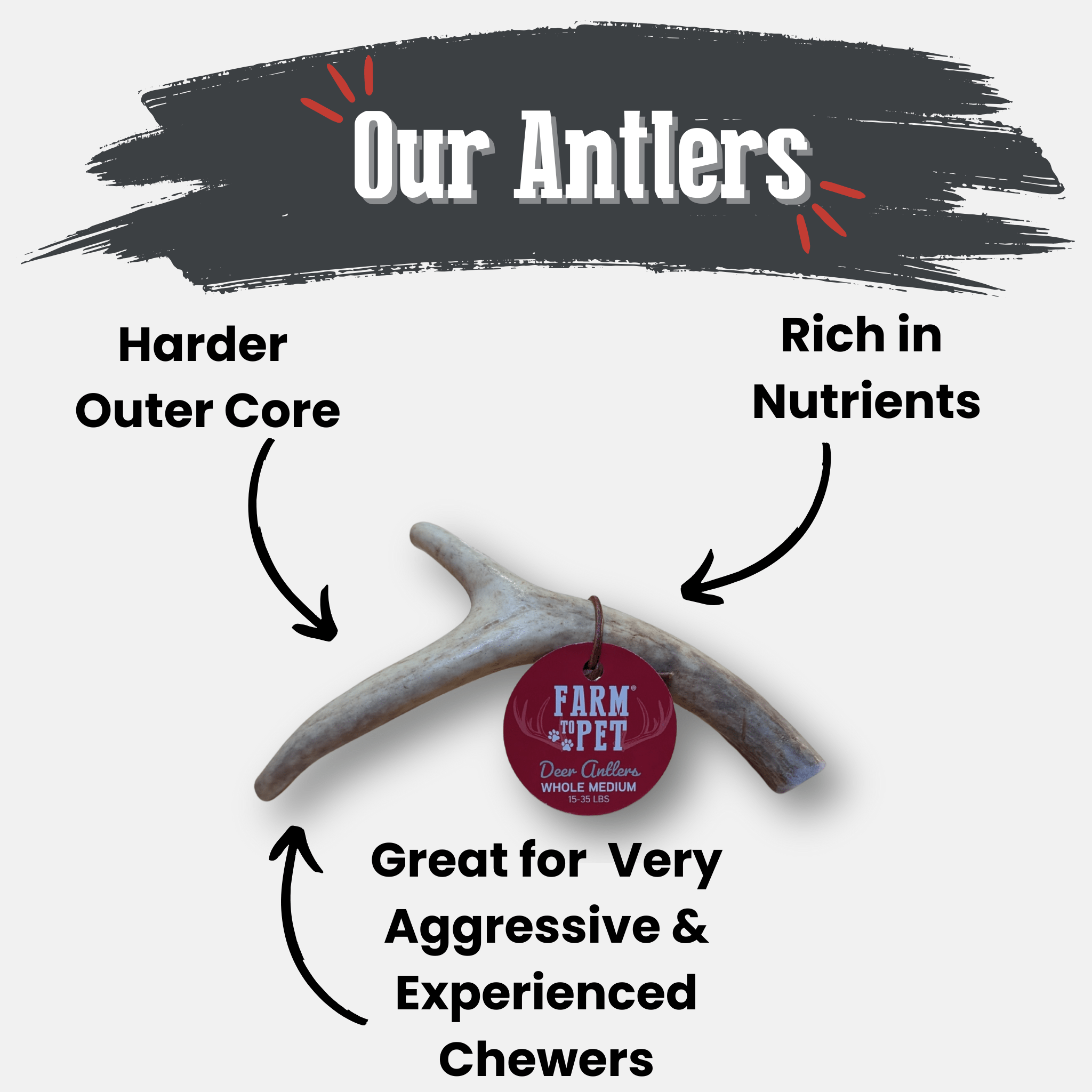 Organic Whole Deer Antler Chews for Large Dogs | Wild-Gathered USA | L & XL Sizes