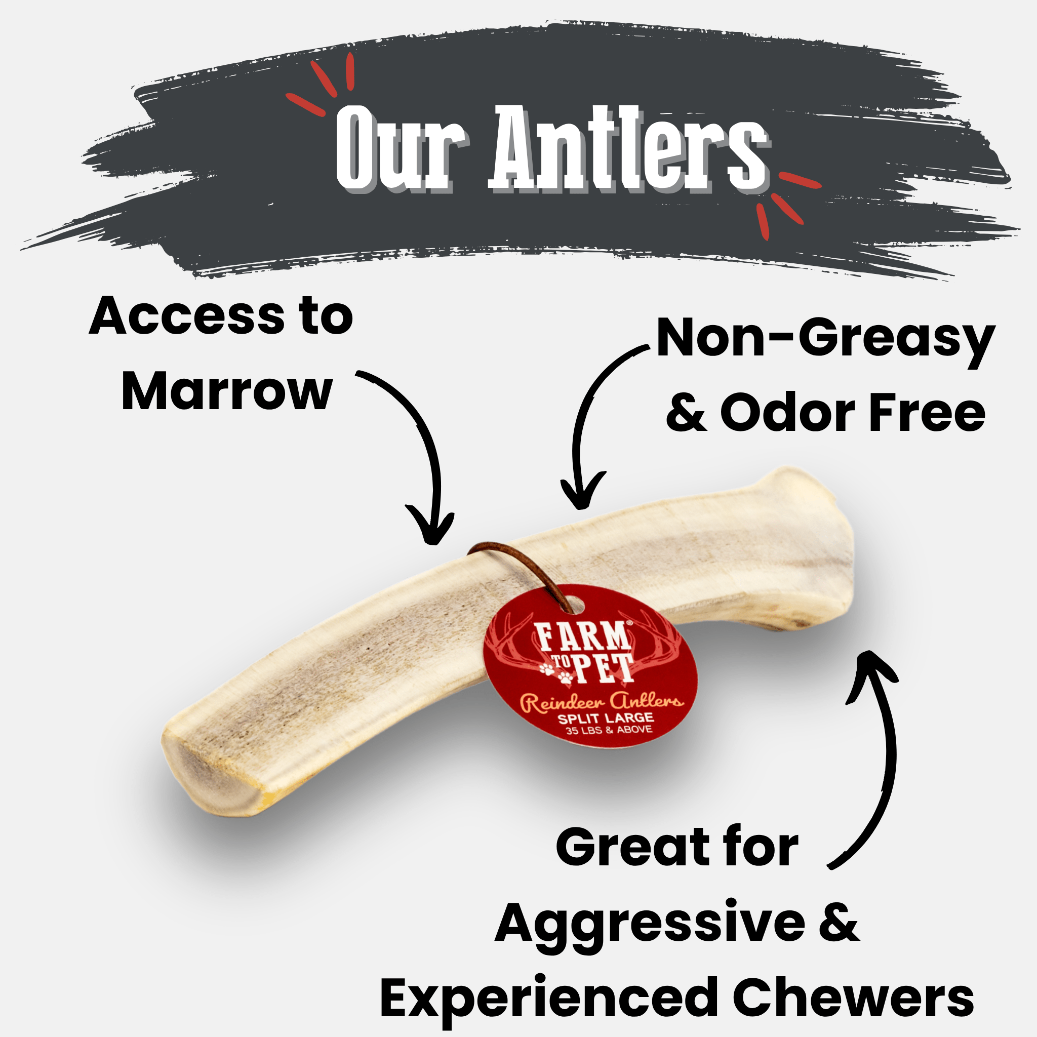 Organic Reindeer Antler Chews for Dogs | Wild-Gathered Alaska | Whole & Split | S, M, L