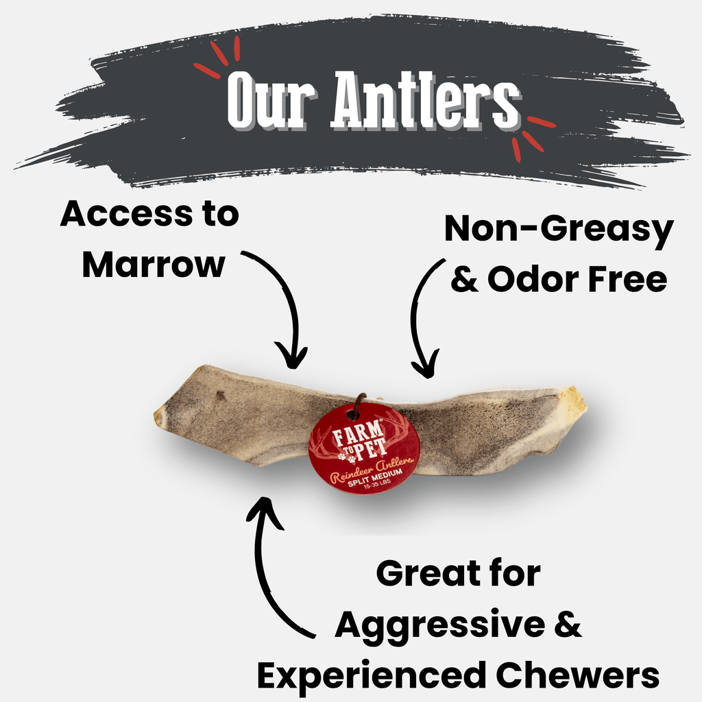 Organic Reindeer Antler Chews for Dogs | Wild-Gathered Alaska | Whole & Split | S, M, L