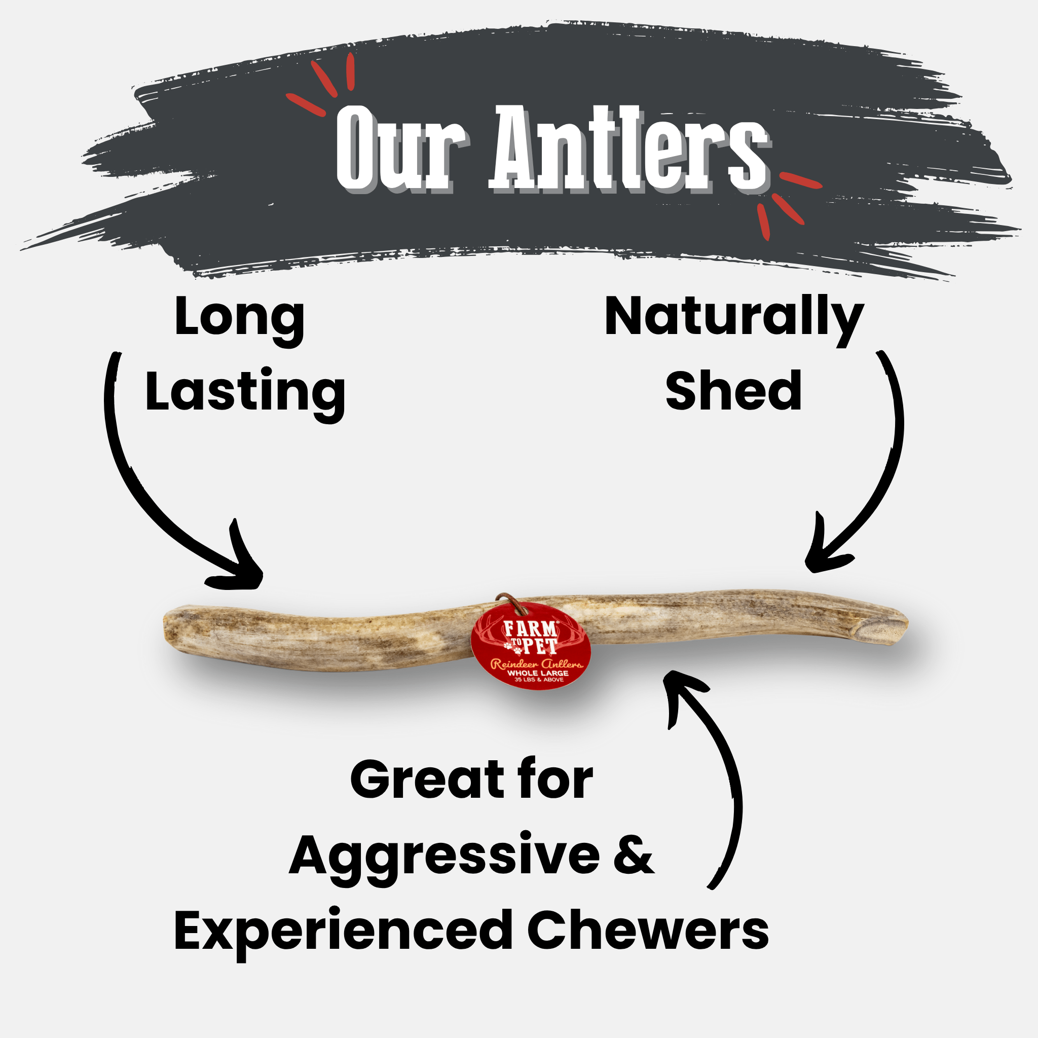Organic Reindeer Antler Chews for Dogs | Wild-Gathered Alaska | Whole & Split | S, M, L