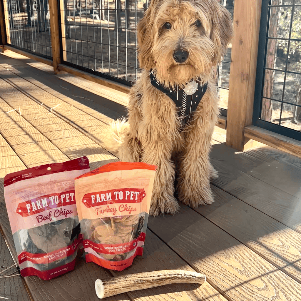 Organic Reindeer Antler Chews for Dogs | Wild-Gathered Alaska | Whole & Split | S, M, L