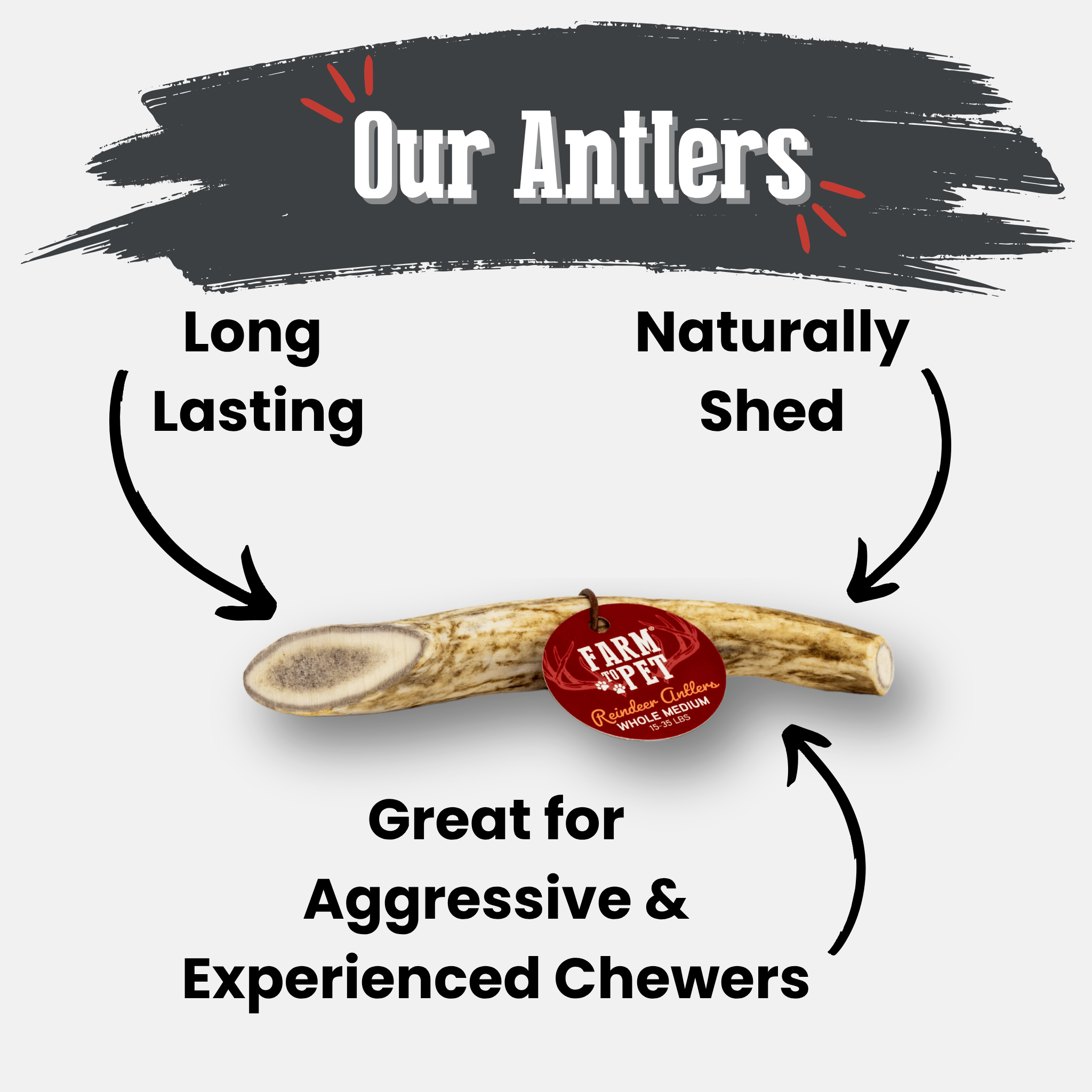 Organic Reindeer Antler Chews for Dogs | Wild-Gathered Alaska | Whole & Split | S, M, L