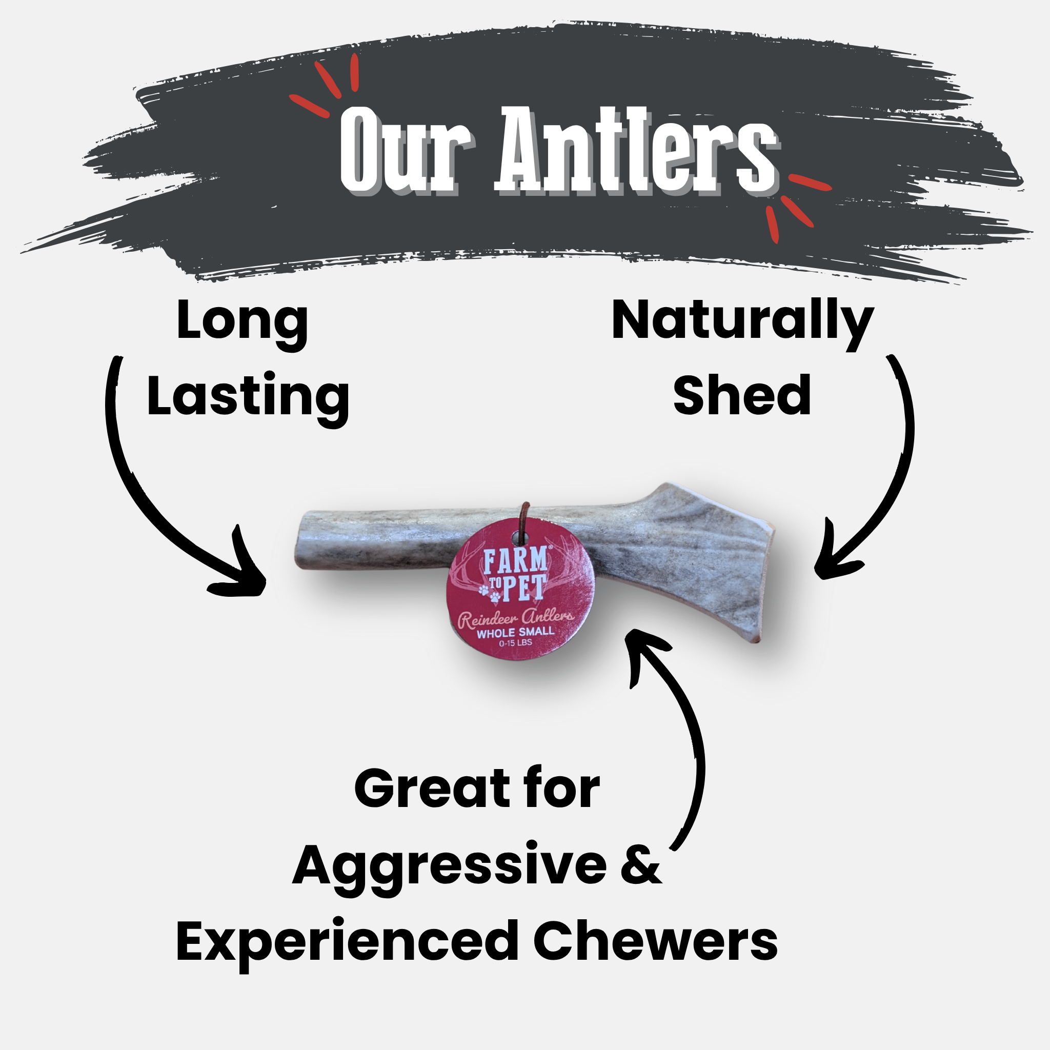 Organic Reindeer Antler Chews for Dogs | Wild-Gathered Alaska | Whole & Split | S, M, L
