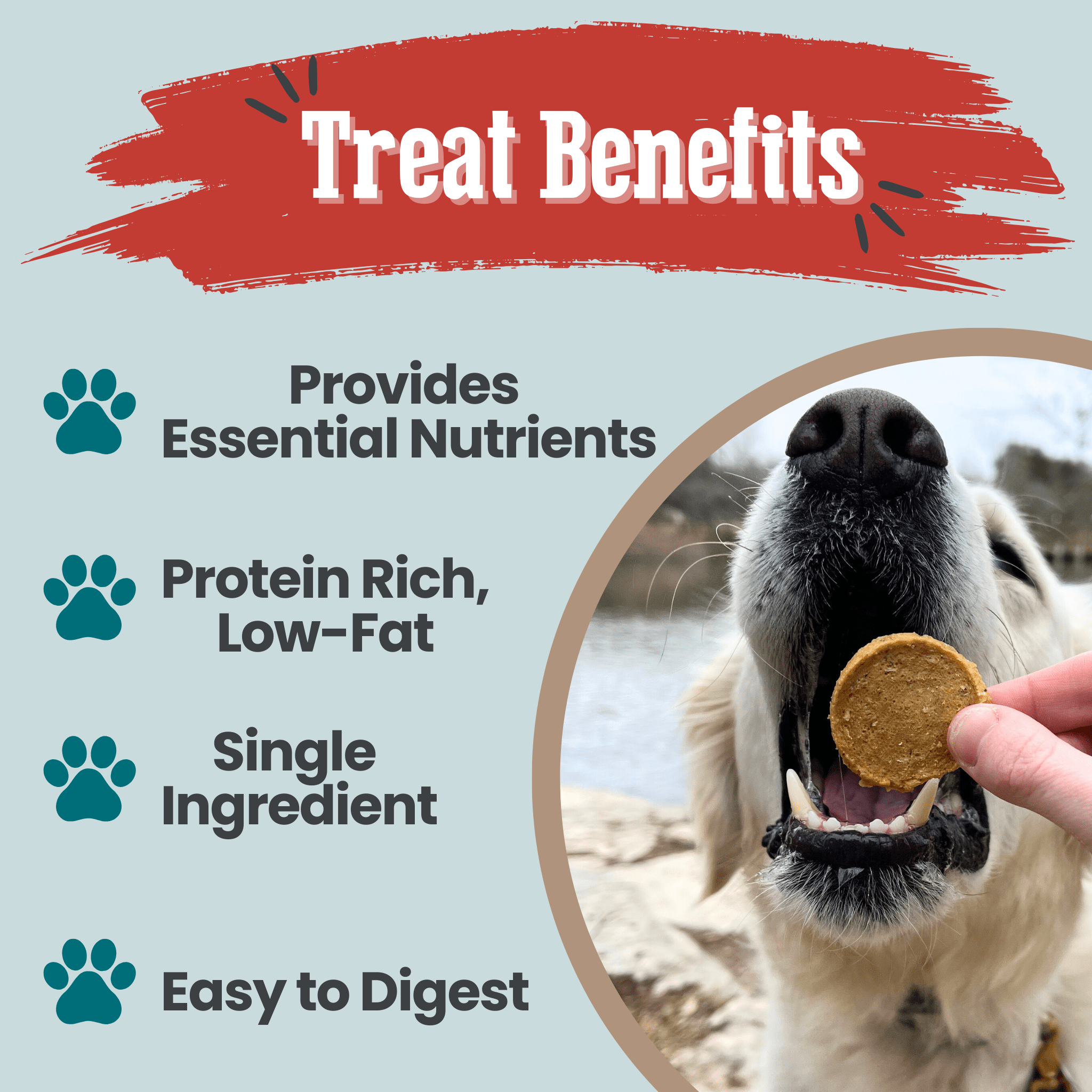 Farm to Pet Fish Chips | Wild-Caught Lake Erie Walleye | Single Ingredient Dog & Cat Treat