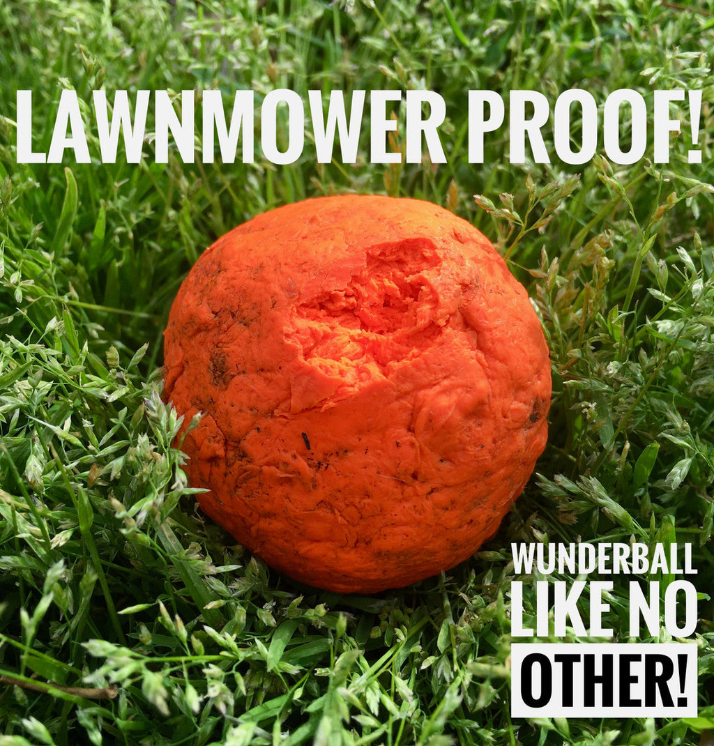 WUNDERball | Award-Winning Natural Rubber Fetch Toy | Floats, Cleans Teeth, 4 Sizes