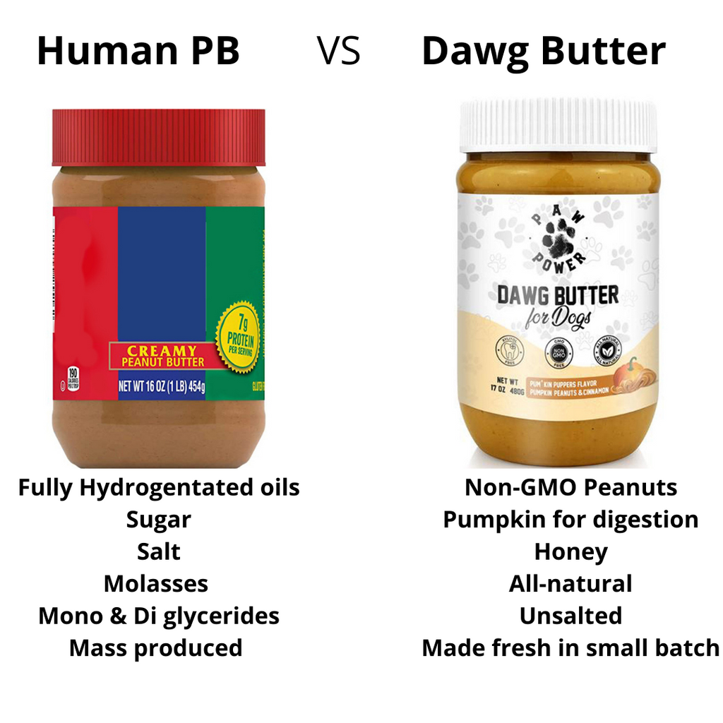 Award-Winning Pumpkin Peanut Butter Dog Treat | Xylitol-Free | Non-GMO | Supports Rescue Dogs