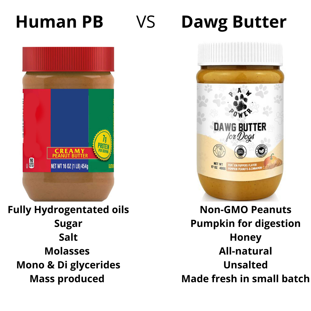 Award-Winning Pumpkin Peanut Butter Dog Treat | Xylitol-Free | Non-GMO | Supports Rescue Dogs