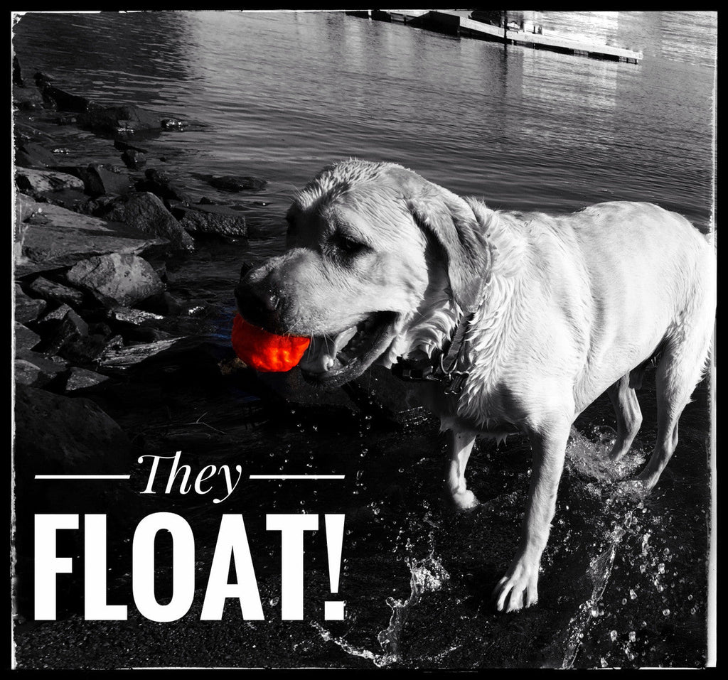 WUNDERball | Award-Winning Natural Rubber Fetch Toy | Floats, Cleans Teeth, 4 Sizes