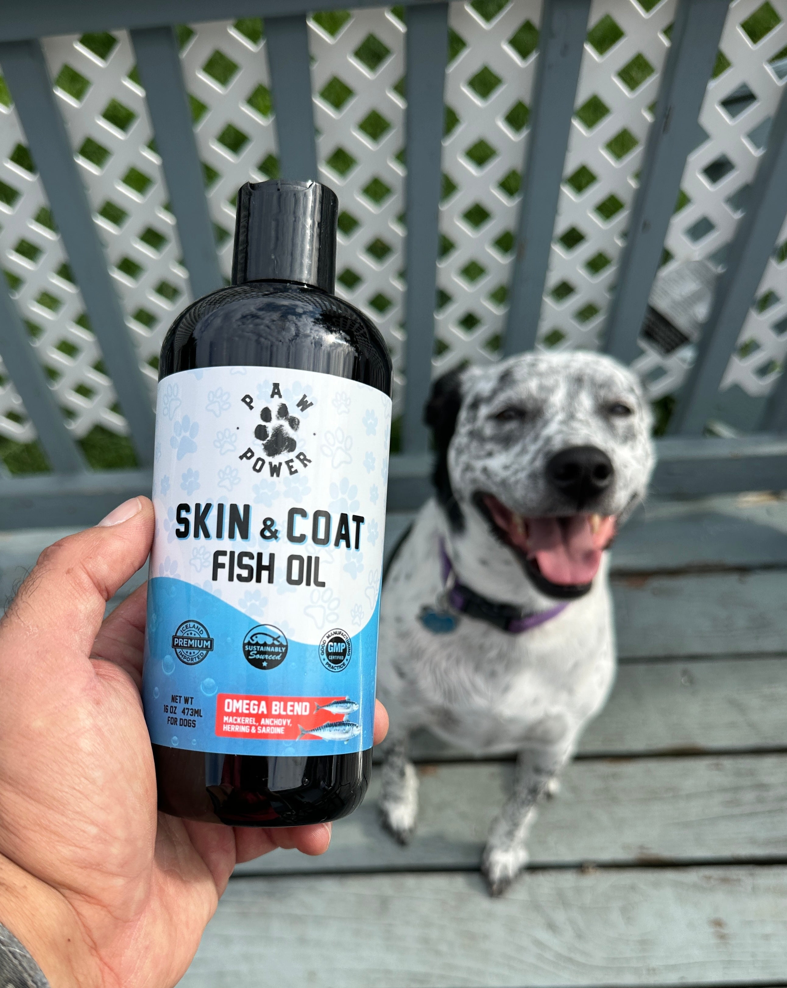 Human-Grade Omega-3 Fish Oil for Dogs & Cats | 16oz Pump | EPA & DHA | Made in USA | Skin & Coat