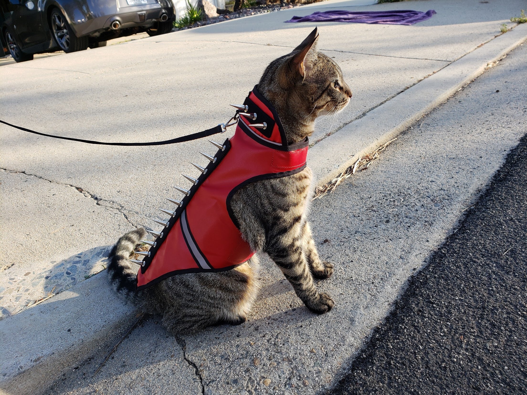 SpikeVest for Cats | Predator Protection Vest | Puncture-Resistant with Chrome Spikes | XS–M