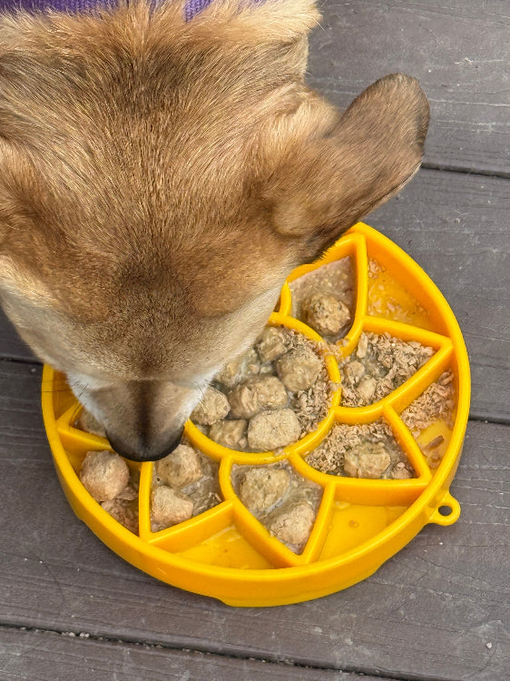 SodaPup Sunflower eTray | Shallow Slow Feeder & Lick Mat | Made in USA | Flat-Face Friendly