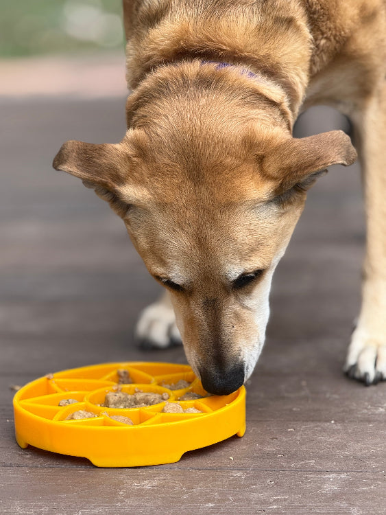 SodaPup Sunflower eTray | Shallow Slow Feeder & Lick Mat | Made in USA | Flat-Face Friendly