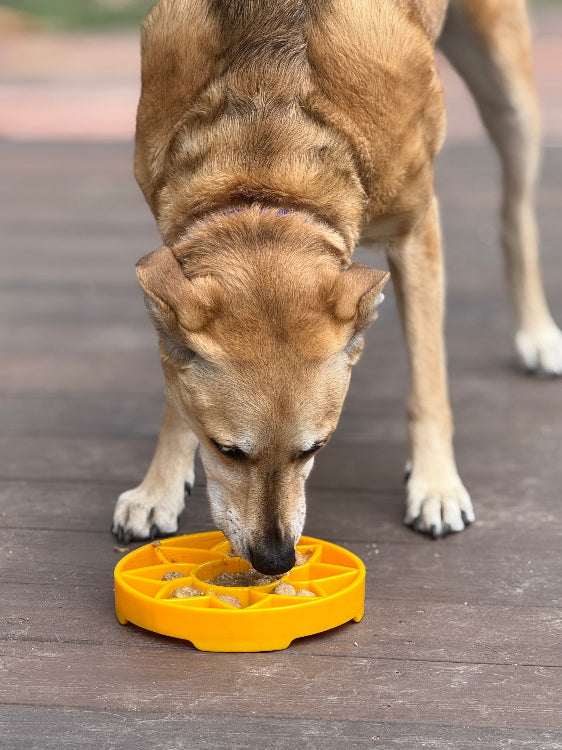 SodaPup Sunflower eTray | Shallow Slow Feeder & Lick Mat | Made in USA | Flat-Face Friendly
