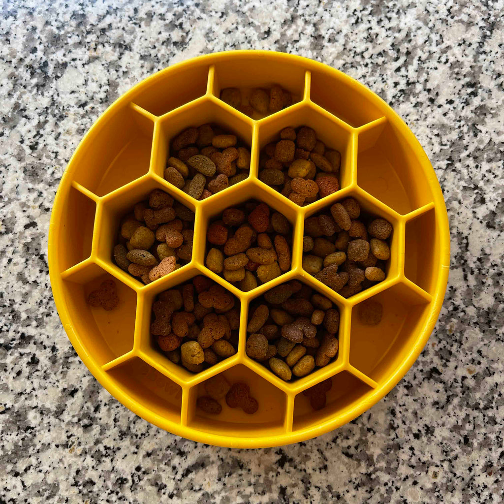 Turn mealtime into enrichment time. The Honeycomb eBowl slows eating by up to 10x, reduces anxiety, and engages foraging instincts. Vet-recommended, dishwasher safe, made in the USA.