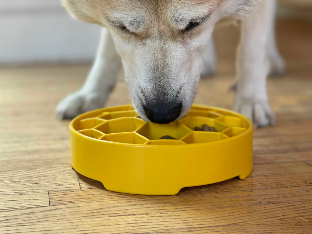 Turn mealtime into enrichment time. The Honeycomb eBowl slows eating by up to 10x, reduces anxiety, and engages foraging instincts. Vet-recommended, dishwasher safe, made in the USA.