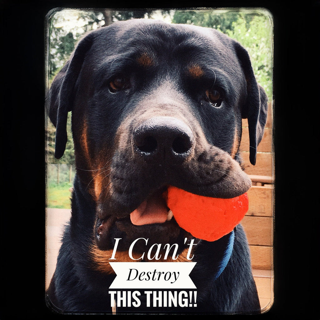 WUNDERball | Award-Winning Natural Rubber Fetch Toy | Floats, Cleans Teeth, 4 Sizes