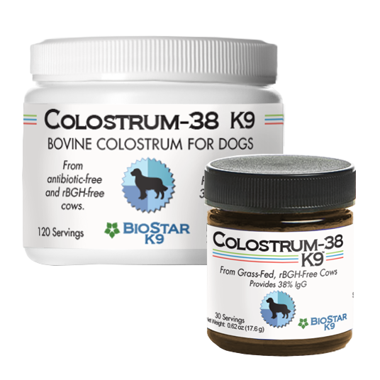 Bovine Colostrum Immune Support for Dogs | 38% IgG | Grass-Fed | 30 or 120 Scoops