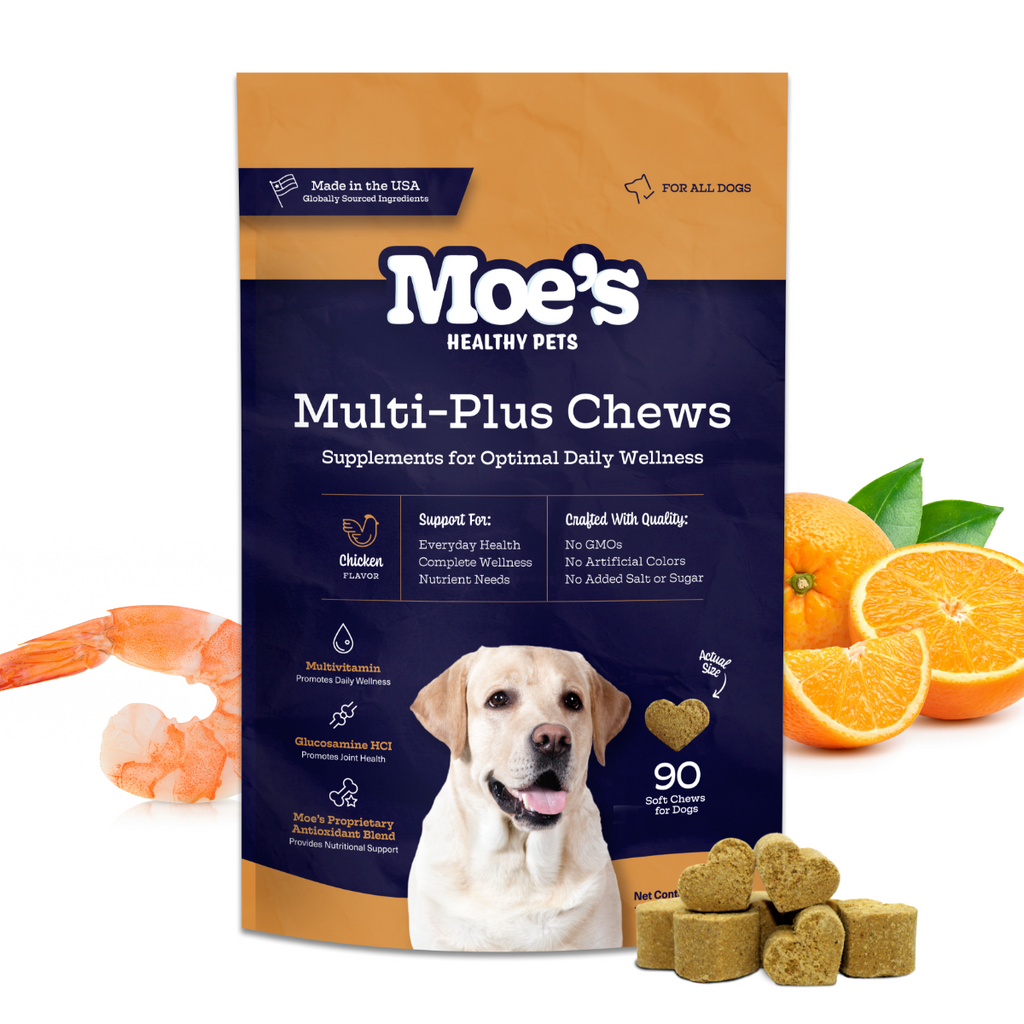 Dog Daily Multivitamin Soft Chews | Glucosamine, Probiotics & Omega-3s | Chicken | 90 Chews