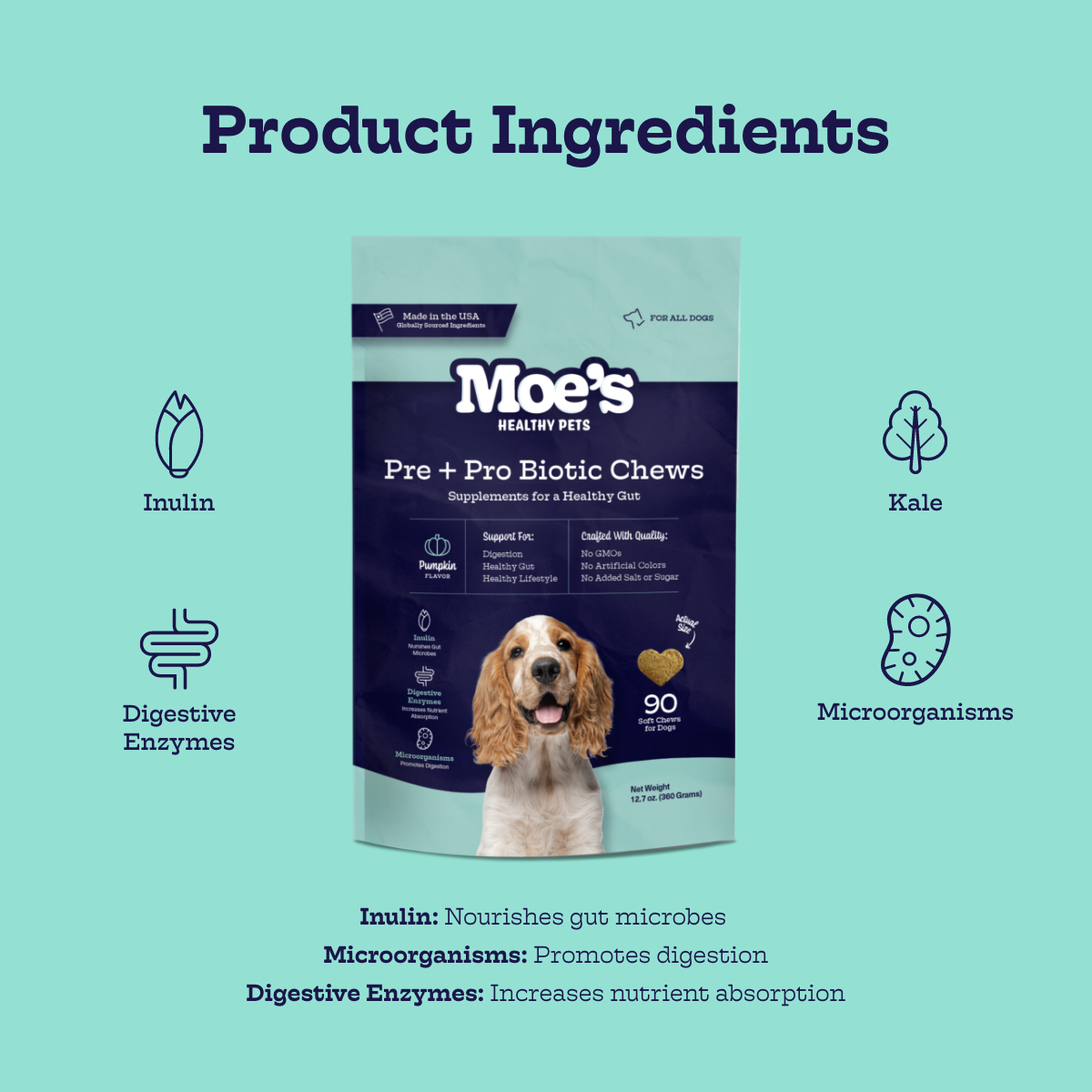 Moe's Pre + Pro Biotic Soft Chews for Dogs | Digestive Health | Pumpkin Flavor | 90 Chews