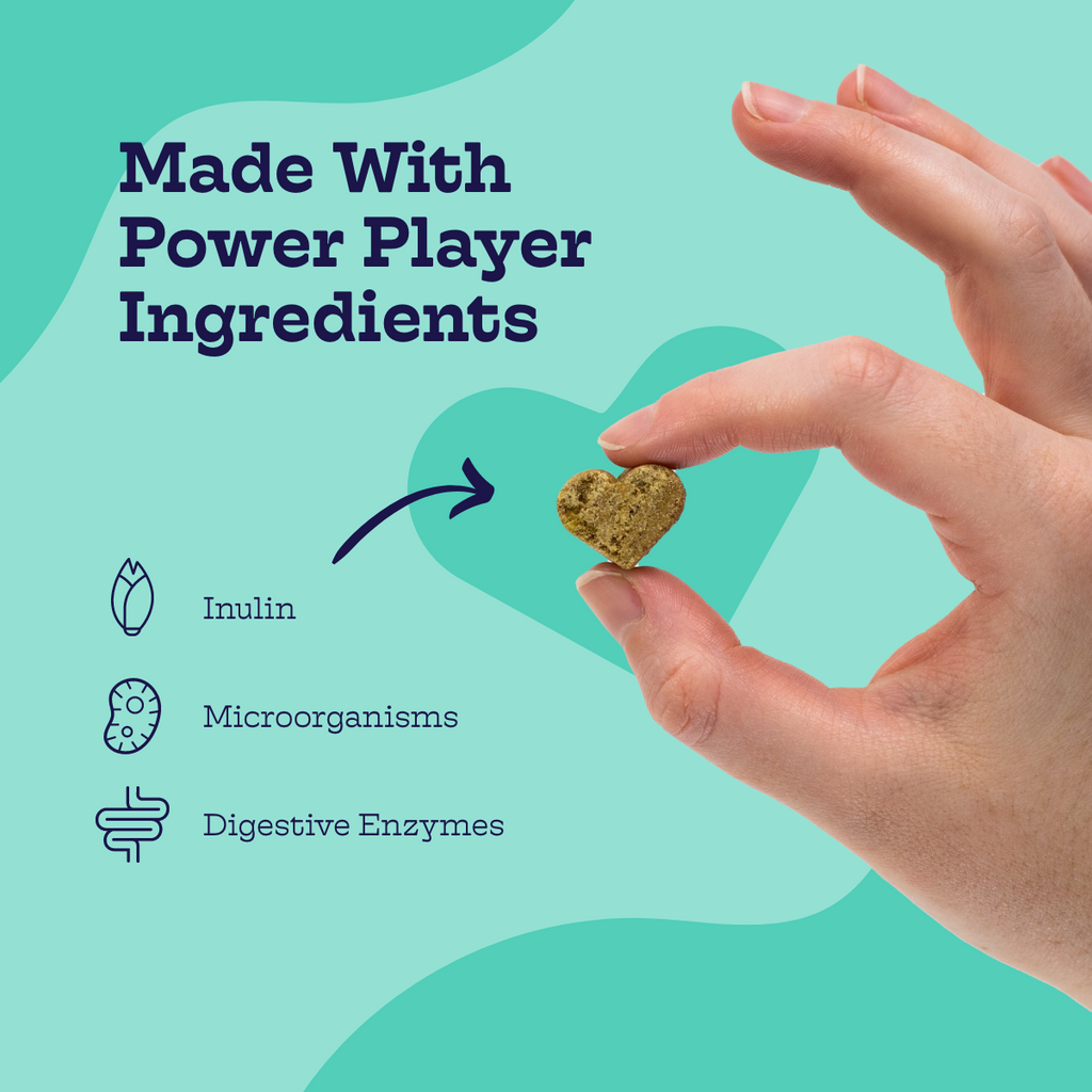 Moe's Pre + Pro Biotic Soft Chews for Dogs | Digestive Health | Pumpkin Flavor | 90 Chews