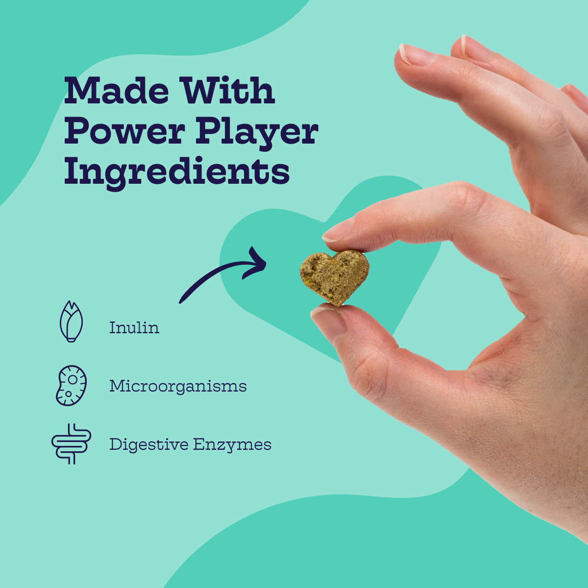 Moe's Pre + Pro Biotic Soft Chews for Dogs | Digestive Health | Pumpkin Flavor | 90 Chews