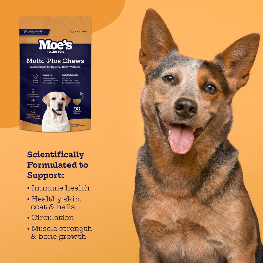 Dog Daily Multivitamin Soft Chews | Glucosamine, Probiotics & Omega-3s | Chicken | 90 Chews