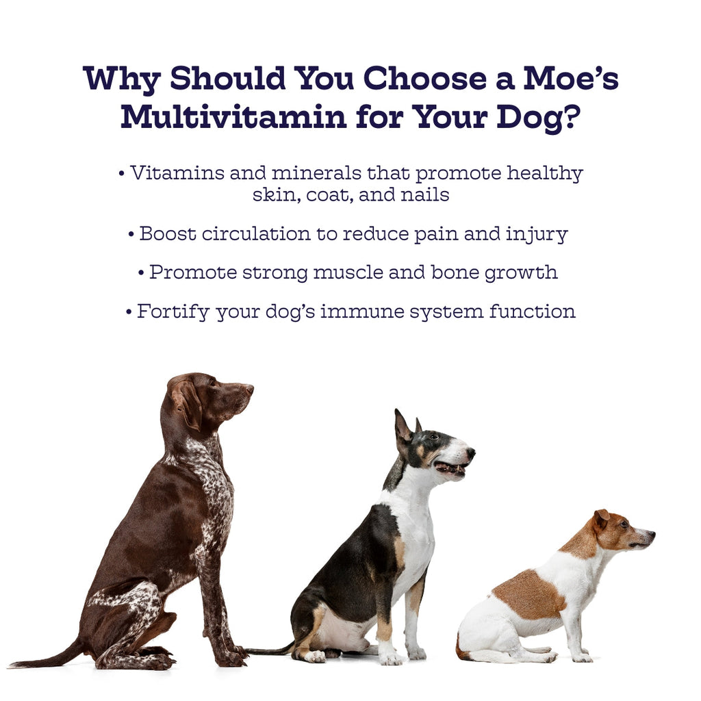 Dog Daily Multivitamin Soft Chews | Glucosamine, Probiotics & Omega-3s | Chicken | 90 Chews