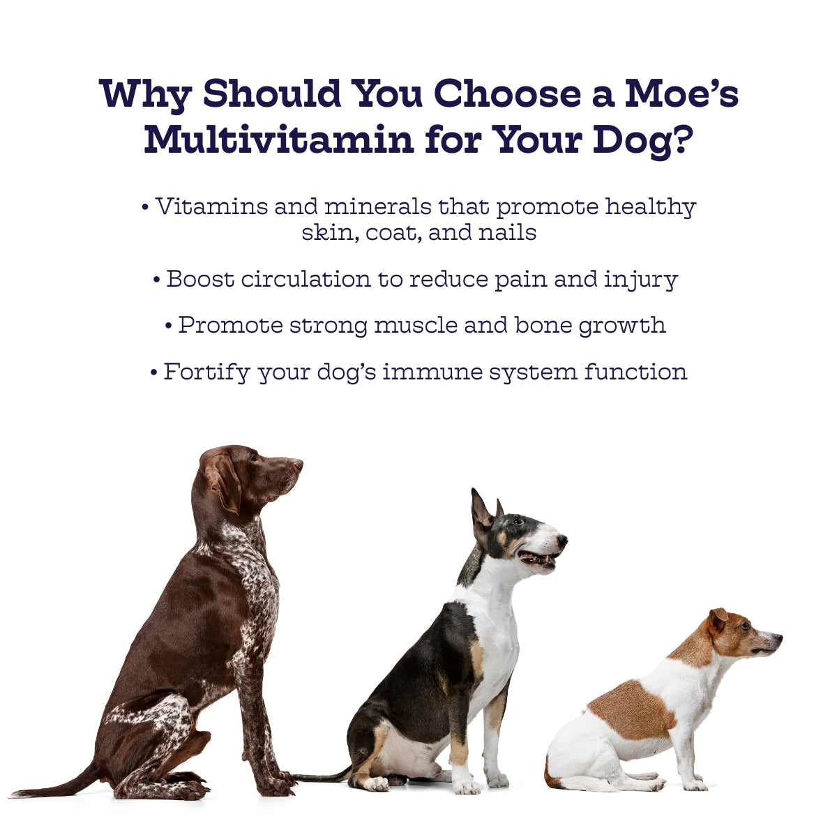 Dog Daily Multivitamin Soft Chews | Glucosamine, Probiotics & Omega-3s | Chicken | 90 Chews