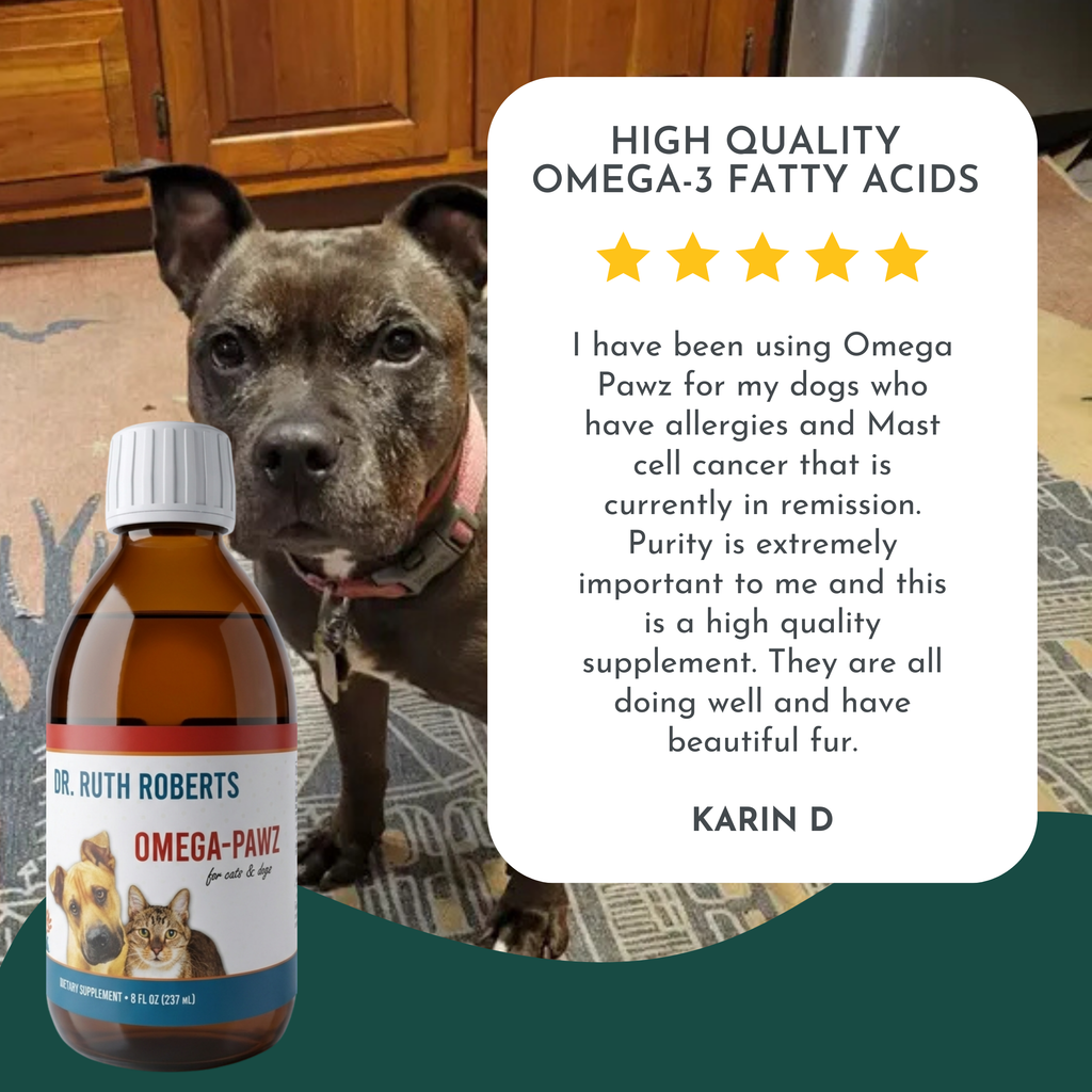 Omega Pawz Fish Oil by Dr. Ruth Roberts | 725mg EPA & 475mg DHA | Liquid Omega-3 for Dogs & Cats | 8oz