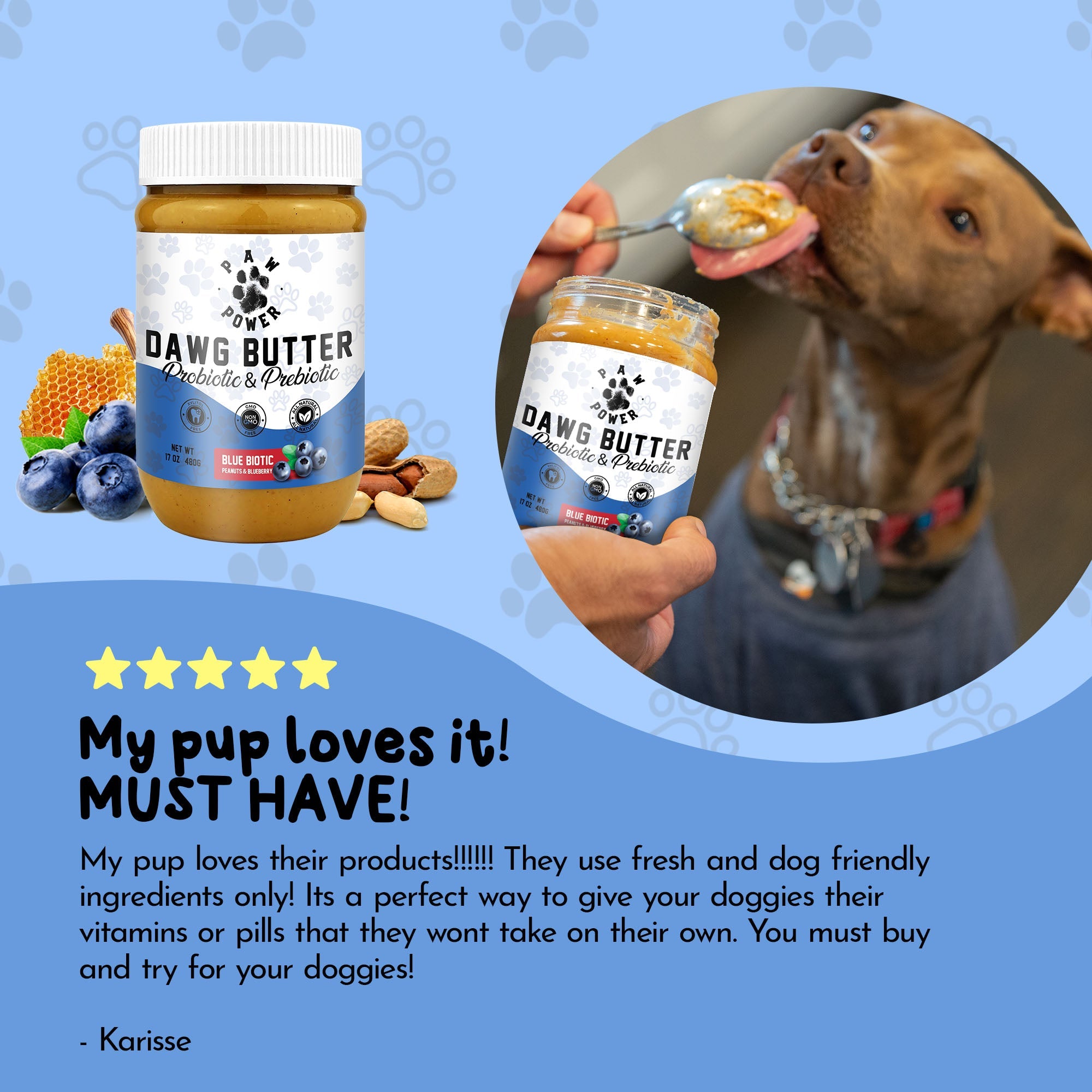 Blue Biotic Dawg Butter | Probiotic Peanut Butter for Dogs | 6 Probiotic Strains + Prebiotics | Xylitol-Free