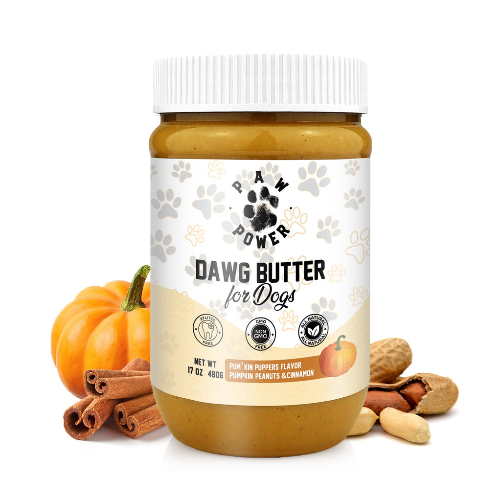Award-Winning Pumpkin Peanut Butter Dog Treat | Xylitol-Free | Non-GMO | Supports Rescue Dogs