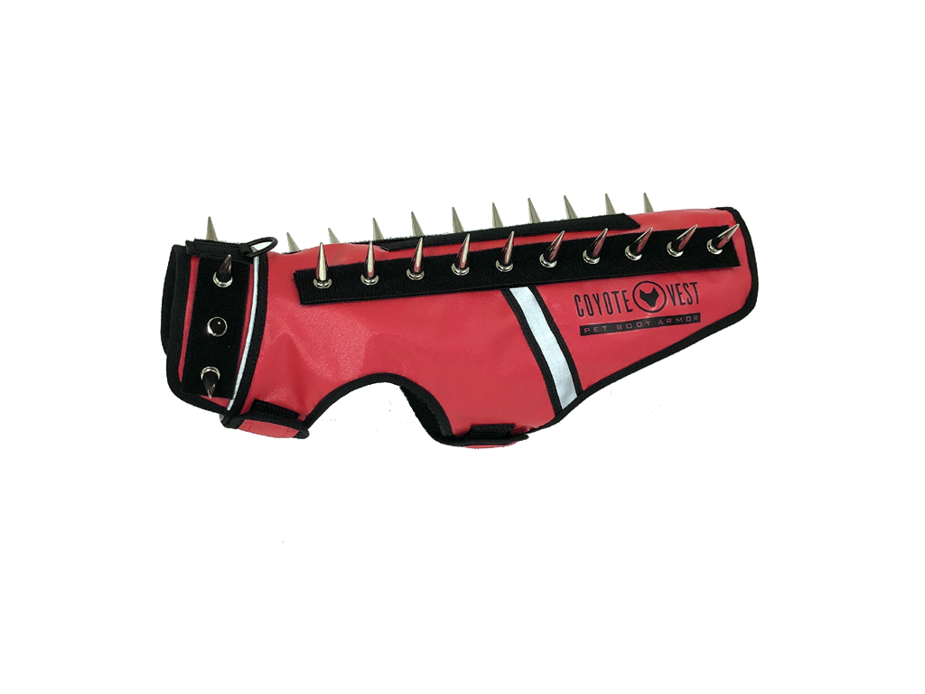 SpikeVest for Cats | Predator Protection Vest | Puncture-Resistant with Chrome Spikes | XS–M