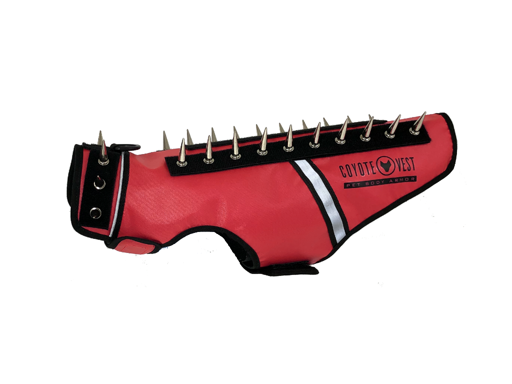 SpikeVest for Cats | Predator Protection Vest | Puncture-Resistant with Chrome Spikes | XS–M
