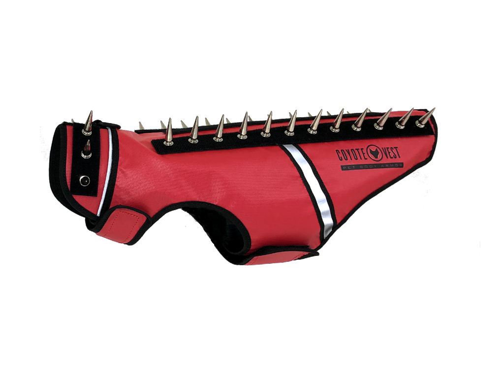 SpikeVest for Cats | Predator Protection Vest | Puncture-Resistant with Chrome Spikes | XS–M