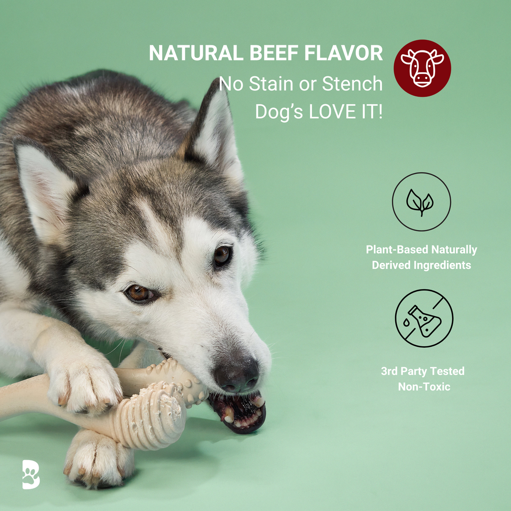 BetterBone MODERATE | Plant-Based Daily Chew Toy for Dogs | Non-Toxic, Hypoallergenic | 3 Sizes