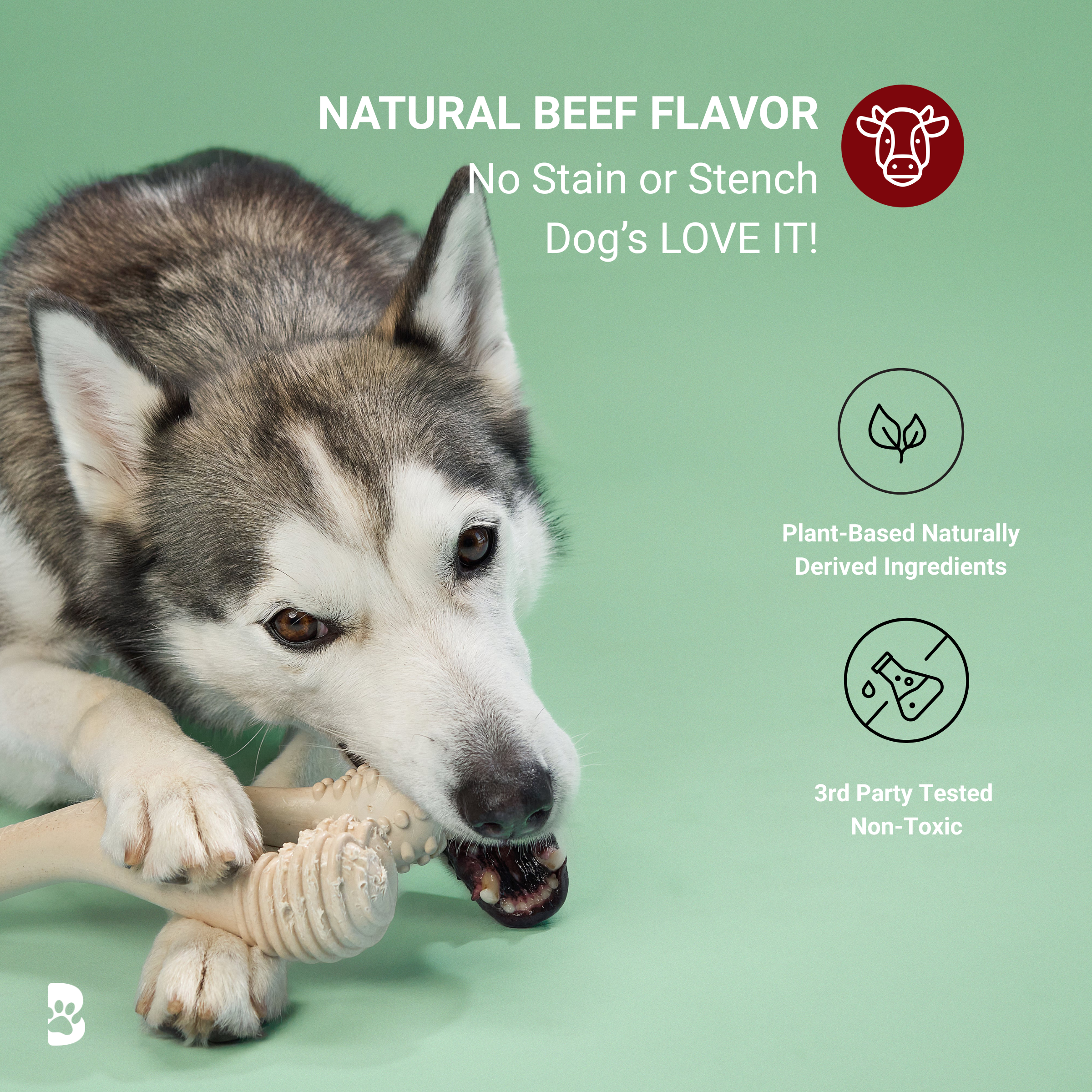 BetterBone MODERATE | Plant-Based Daily Chew Toy for Dogs | Non-Toxic, Hypoallergenic | 3 Sizes