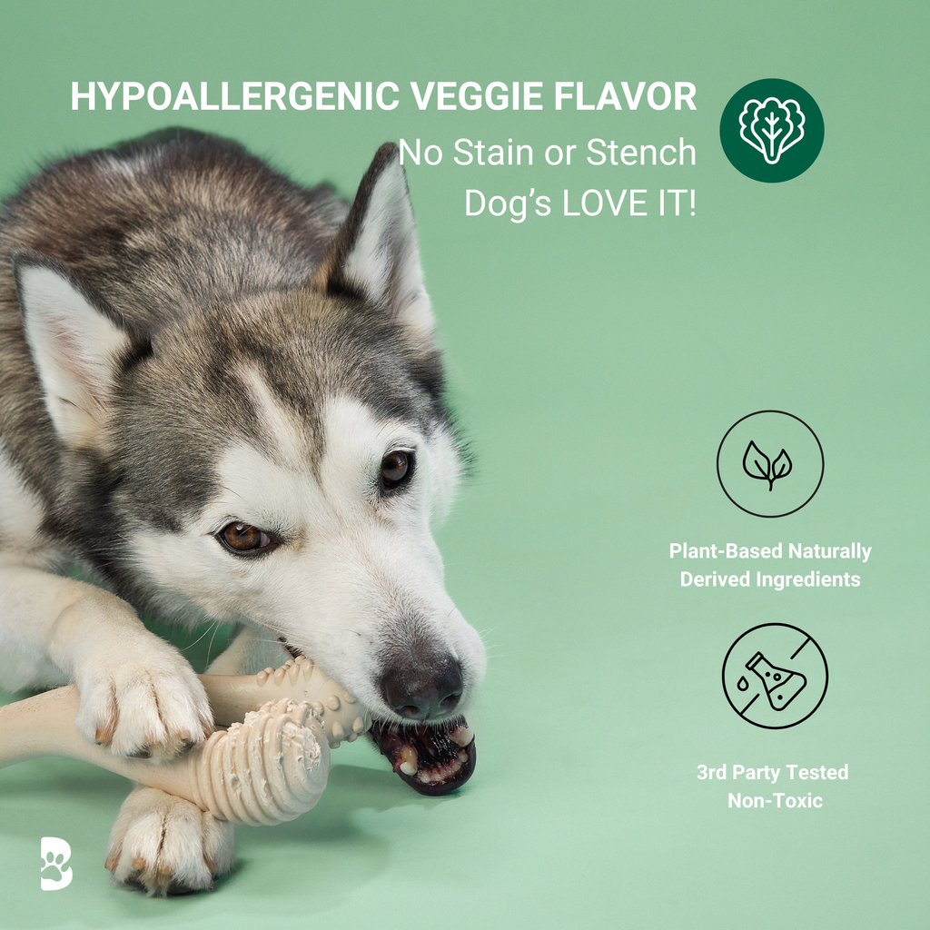 BetterBone MODERATE | Plant-Based Daily Chew Toy for Dogs | Non-Toxic, Hypoallergenic | 3 Sizes