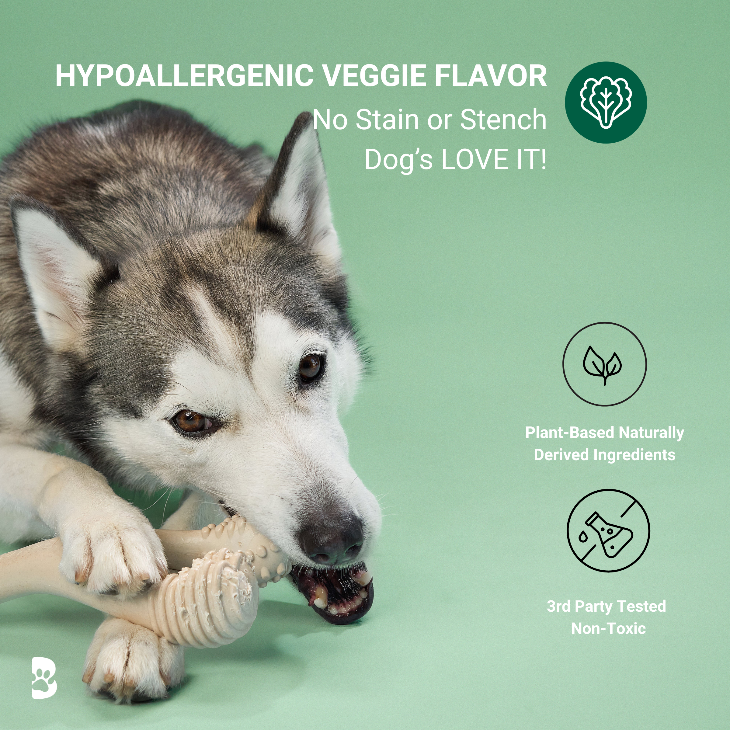 BetterBone MODERATE | Plant-Based Daily Chew Toy for Dogs | Non-Toxic, Hypoallergenic | 3 Sizes