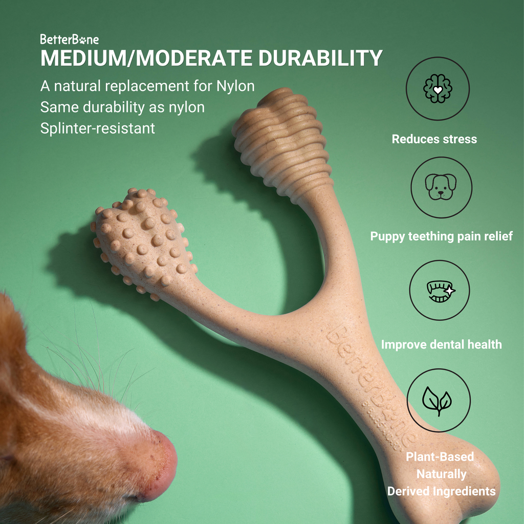 BetterBone MODERATE | Plant-Based Daily Chew Toy for Dogs | Non-Toxic, Hypoallergenic | 3 Sizes