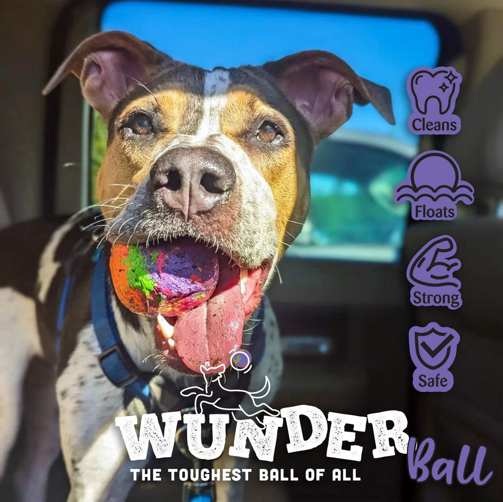 WUNDERball | Award-Winning Natural Rubber Fetch Toy | Floats, Cleans Teeth, 4 Sizes