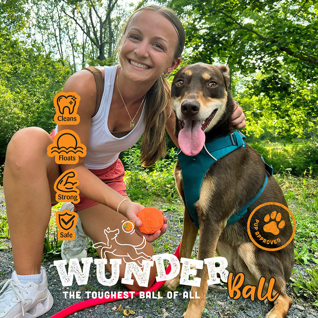 WUNDERball | Award-Winning Natural Rubber Fetch Toy | Floats, Cleans Teeth, 4 Sizes