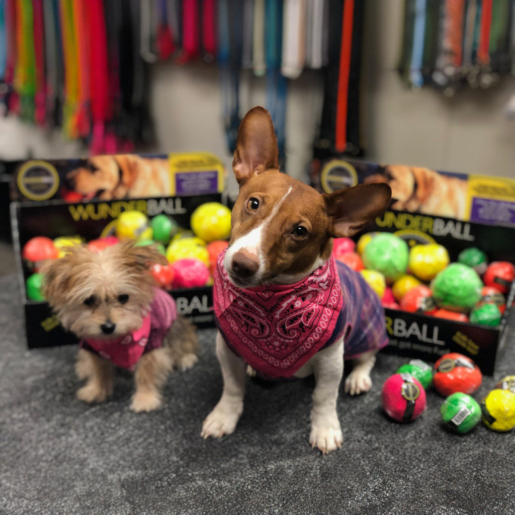 WUNDERball | Award-Winning Natural Rubber Fetch Toy | Floats, Cleans Teeth, 4 Sizes